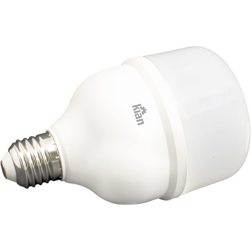 Lâmpada LED Globe 30W - Kian